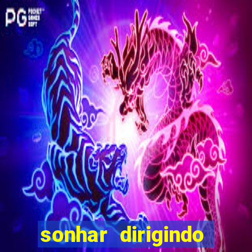 sonhar dirigindo carro jogo do bicho